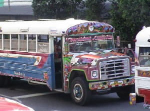 bus